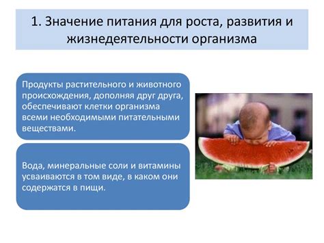 Значение для жизнедеятельности организма