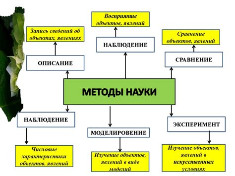 Значение изучения природы