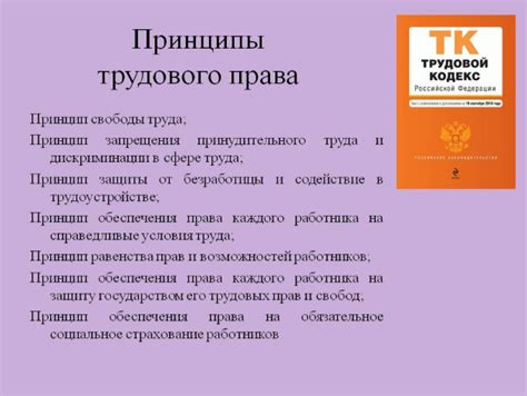 Значение и основные принципы