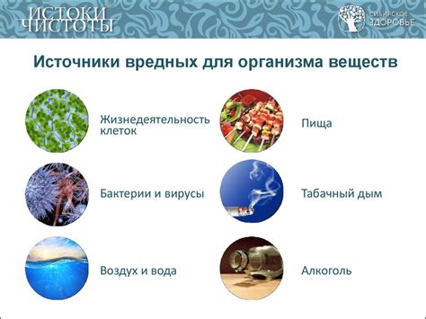 Значение очищения для организма