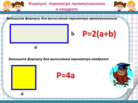 Значение периметра и его практическая ценность