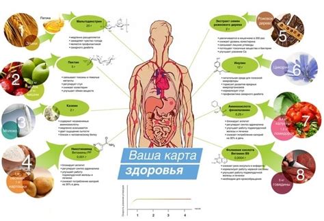 Значение правильного питания и образа жизни для гармонии организма