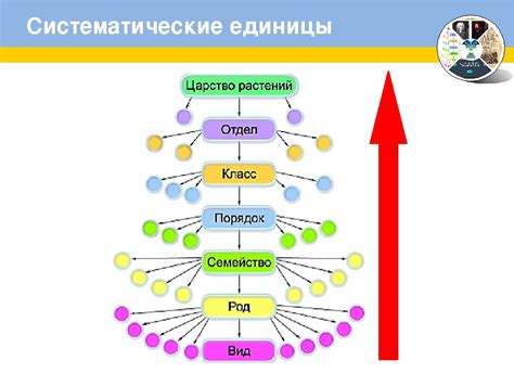 Значение правильной последовательности работ при обновлении помещения