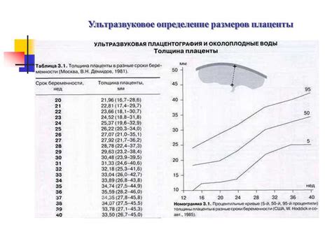 Значение степени зрелости 2 для плода