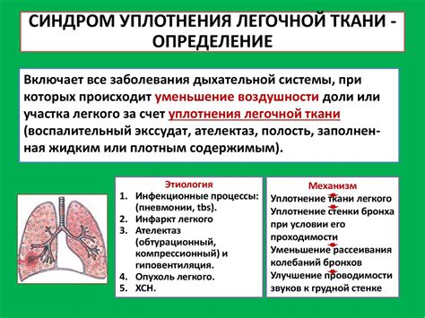 Значение уплотнения корней легких в диагностике заболеваний
