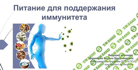 Значимость включения фасоли в питание для поддержания иммунитета