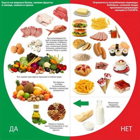 Значимость замороженных ягод для здорового образа жизни