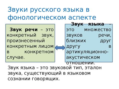 Значимость звукового выражения в языковой системе