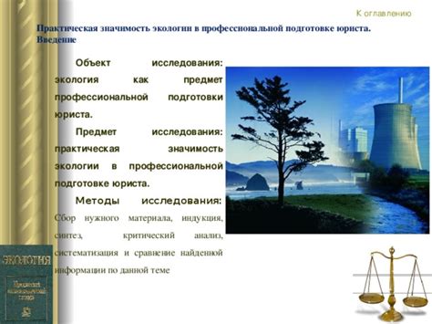 Значимость практики в подготовке будущего юриста