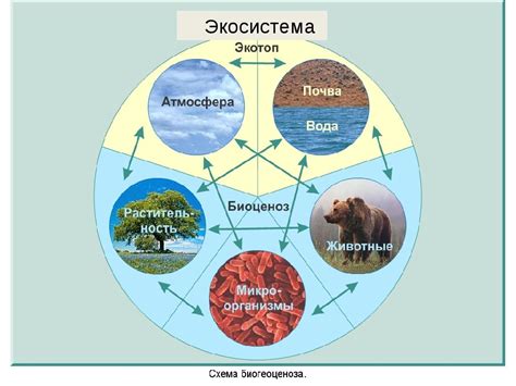 Значимость рек и речных систем для живой природы