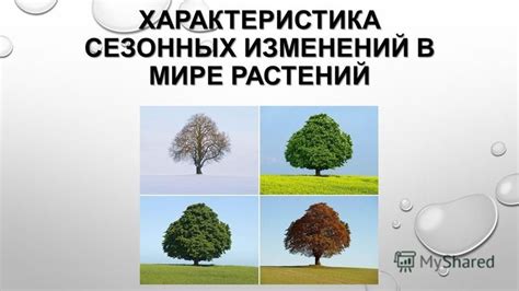 Значимость учёта сезонных изменений при анализе микроклимата в процессе проектирования и ремонта