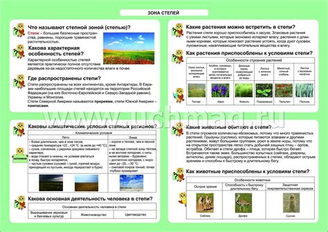 Зона свободной езды и раскрытый окружающий мир