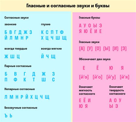 Зычные гуки в белорусском языке