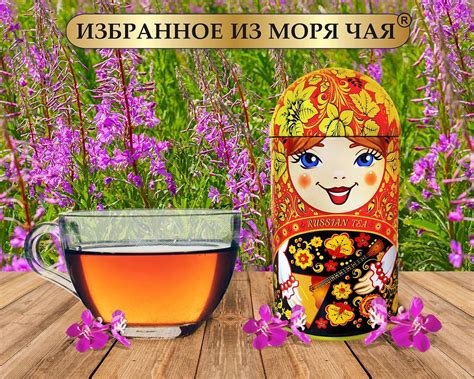 Иван-чай: от антиоксидантов до улучшения сна