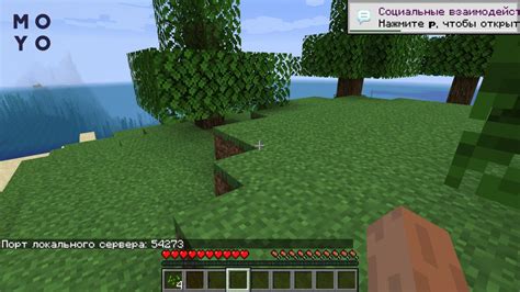 Играем в Minecraft!