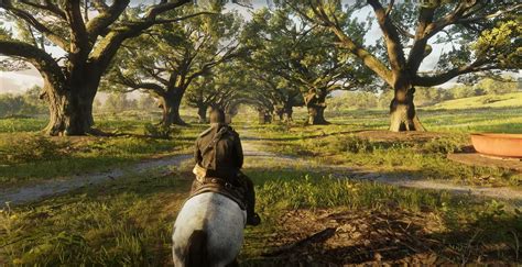 Игры Red Dead Redemption 2