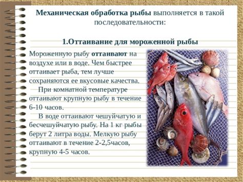 Идеальные сочетания пшена и рыбы: вкусовые эксперименты у воды