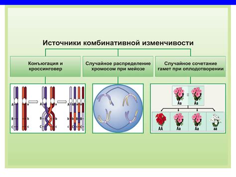 Избегание накопления вредных мутаций