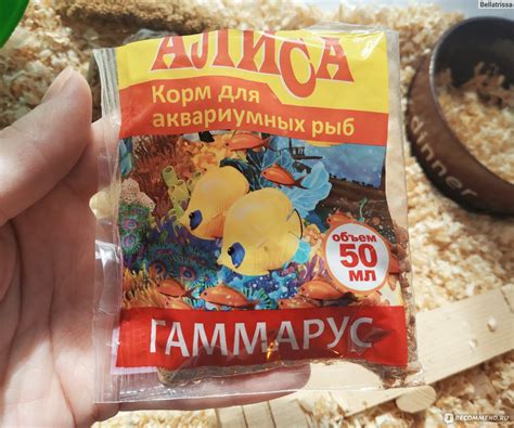 Излишняя подкормка рыб