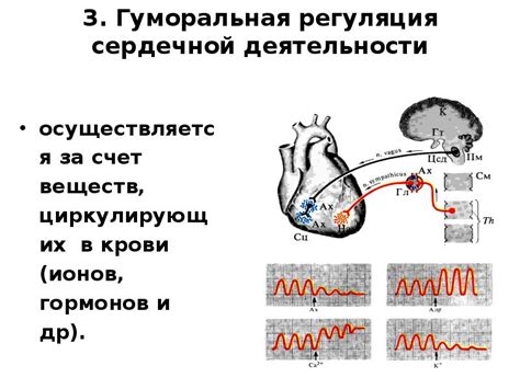 Изменение дыхания и сердечной деятельности