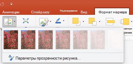 Изменение прозрачности текстовых элементов в PowerPoint