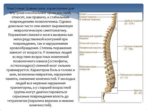 Изменения в позвоночнике