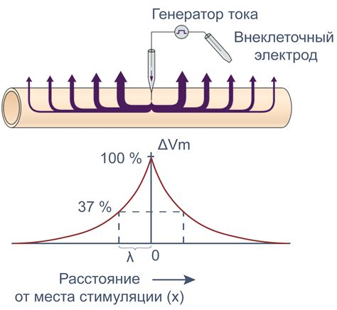 Изучаем свойства материала и его потенциал для изменения цвета в процессе химчистки