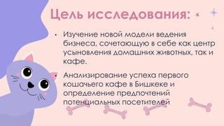 Изучение предпочтений кошачьего питания