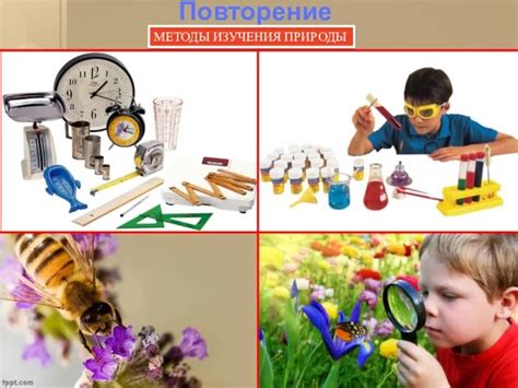 Изучение природы через наблюдения и эксперименты