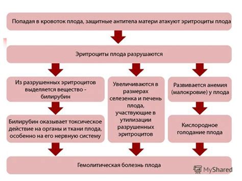 Изучение роли резус-фактора на организм