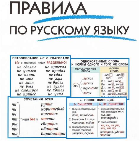 Изучение русского языка в школе