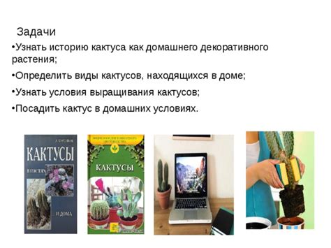 Изучение фазы расцветки декоративного растения в домашних условиях: объяснение процесса