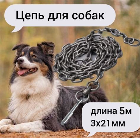 Изъяны при привязи собаки