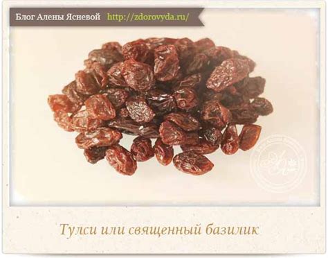 Изюм: преимущества и способы применения
