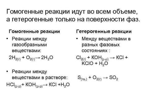 Из чего состоят гомогенные реакции