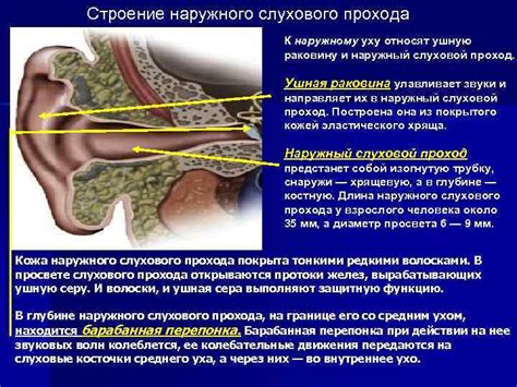 Импульсы и эмоции при промывании воспаленного слухового прохода