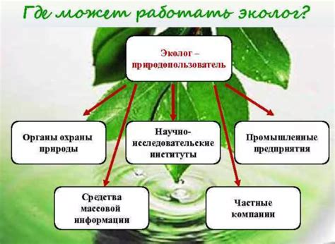 Инженер-эколог: технические аспекты решения экологических проблем
