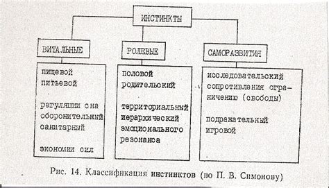 Инстинктивные мотивы