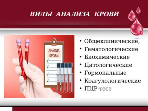 Интерпретация снов об крови
