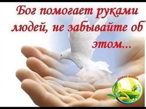 Интерпретация снов о милосердии и благотворительности
