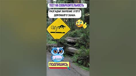 Интригующие загадки и головоломки
