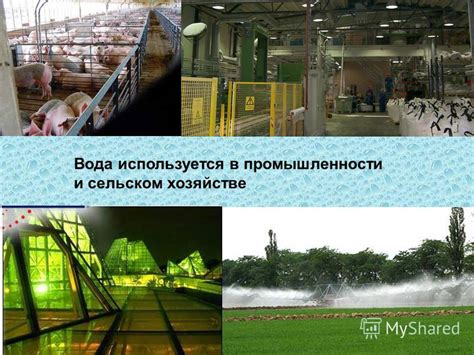 Использование водоносного глинистого подземного слоя в сельском хозяйстве и промышленности