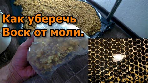 Использование забруса в медосборе и медопроизводстве