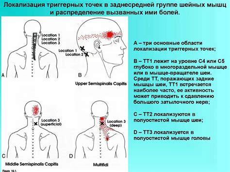 Использование медикаментов при лечении плши на затылке