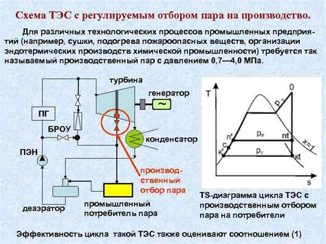 Использование пара и тепла для открытия пор: важные моменты процедуры