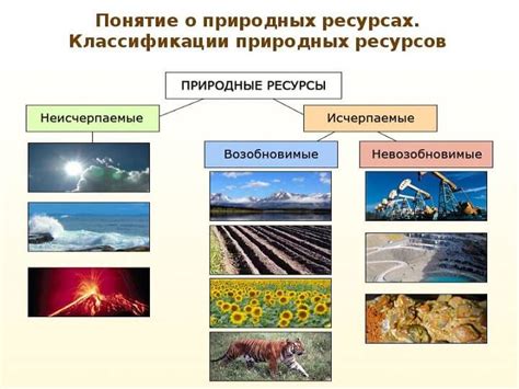Использование природных иммуностимуляторов для повышения сопротивляемости к инфекциям