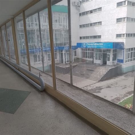 Использование пустельги в русском языке