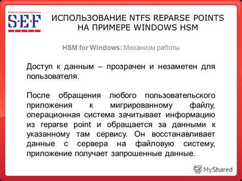 Использование специального приложения для работы с NTFS на iPhone 12