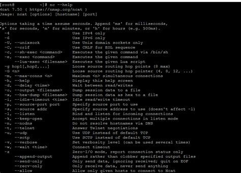 Использование утилиты Netcat для проверки портов