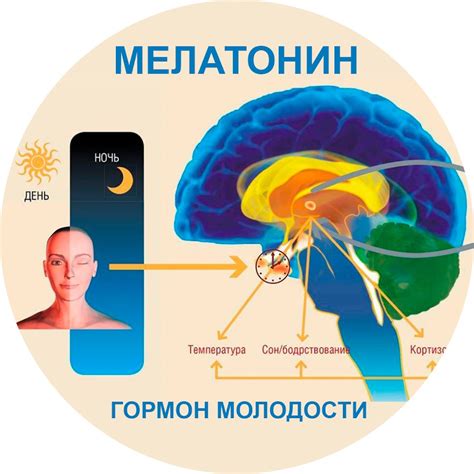 Использование функции "Bedtime" для улучшения сна и свежего пробуждения